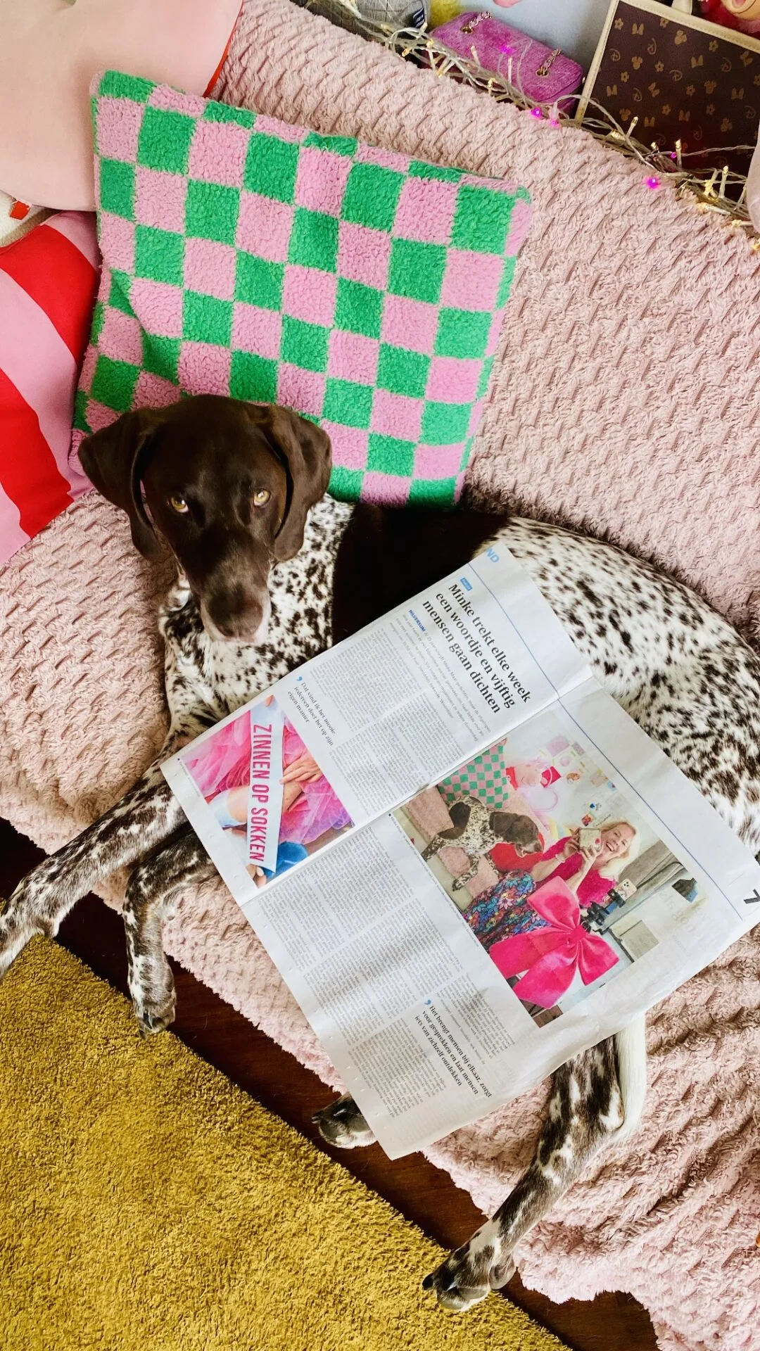 Artikel over het woordspel van Minke Maat in de krant Hilversums Nieuws